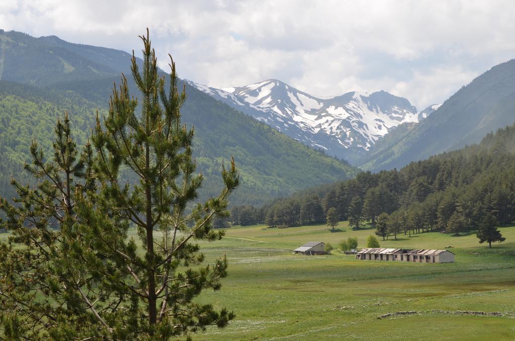 Residence Les Cimes Font-Romeu-Odeillo-Via Екстер'єр фото