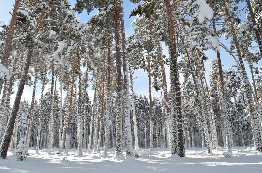 Residence Les Cimes Font-Romeu-Odeillo-Via Екстер'єр фото